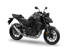 Hornet 750