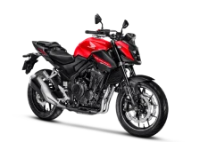 Hornet 500