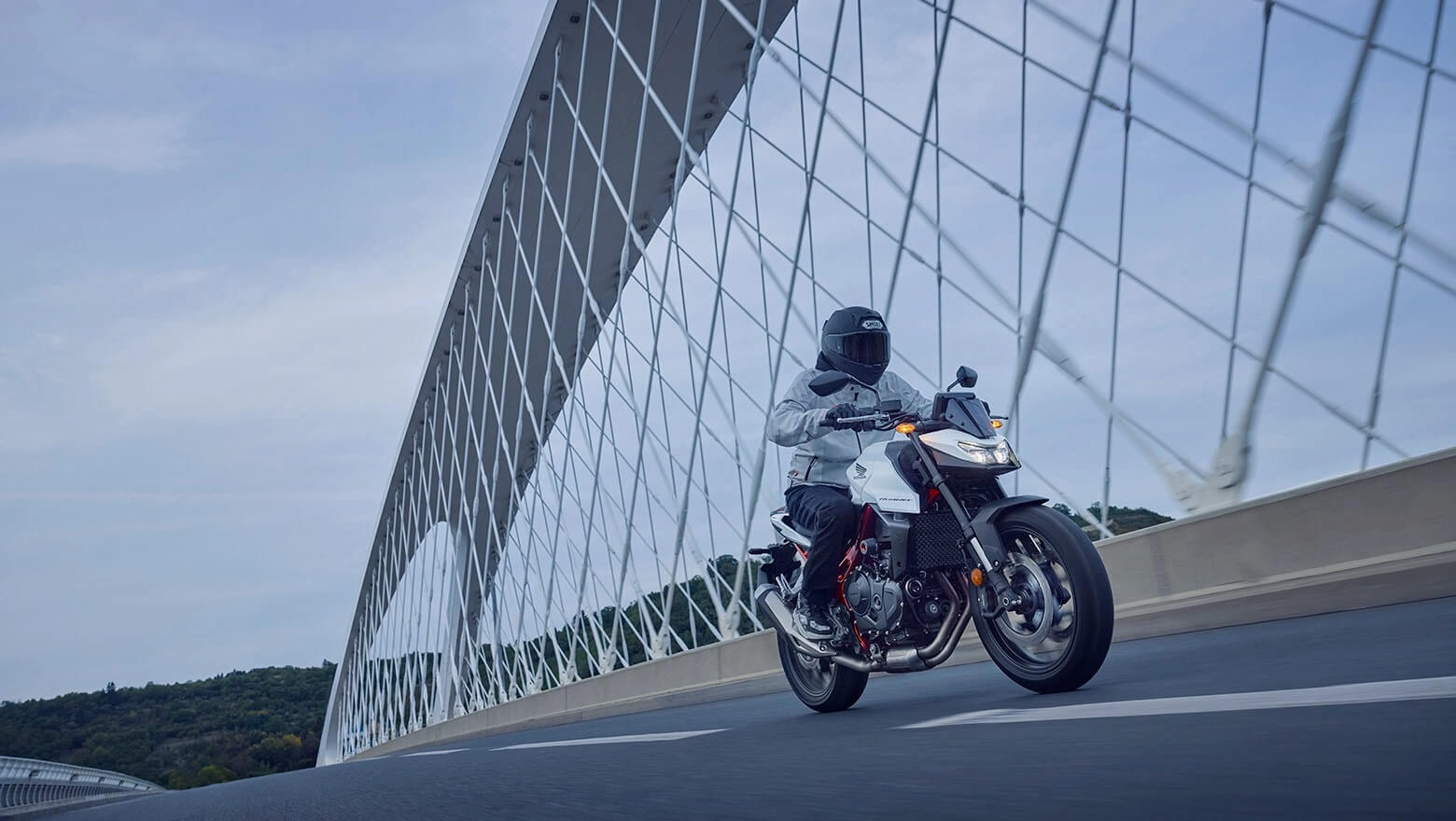 Hornet 750